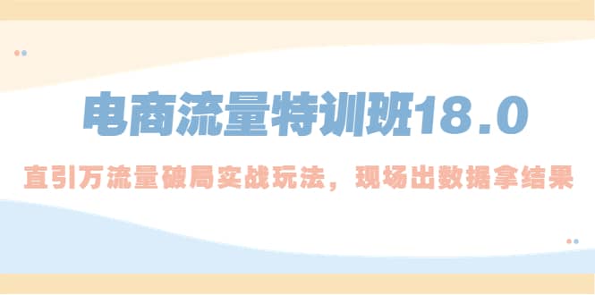 电商流量特训班18.0，直引万流量破局实操玩法，现场出数据拿结果-零点科技