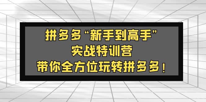 拼多多“新手到高手”实战特训营：带你全方位玩转拼多多-零点科技