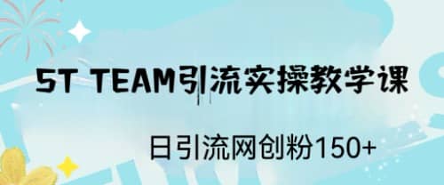 ST TEAM引流实操课，日引流网创粉100+-零点科技