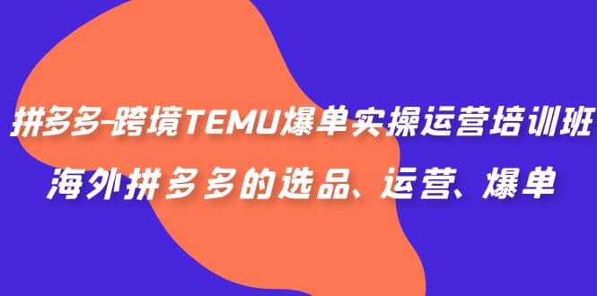 拼多多-跨境TEMU爆单实操运营培训班，海外拼多多的选品、运营、爆单-零点科技