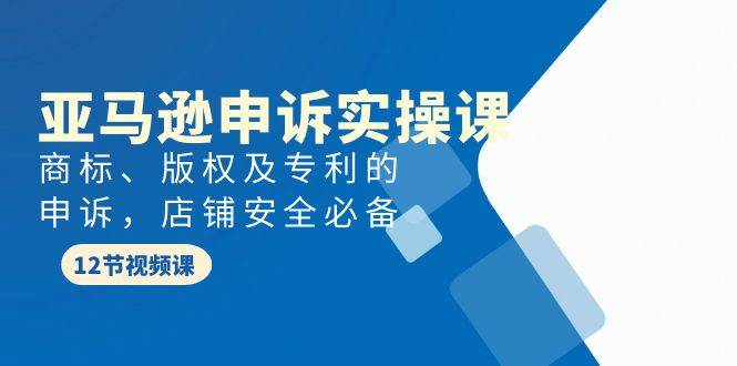 亚马逊-申诉实战课，商标、版权及专利的申诉，店铺安全必备-零点科技