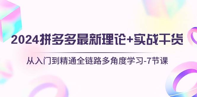 2024拼多多 最新理论+实战干货，从入门到精通全链路多角度学习-7节课-零点科技