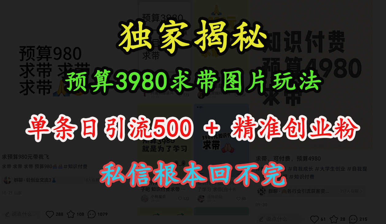 “小红书”预算3980求带 图片玩法，单条日引流500+精准创业粉，私信根本回不完-零点科技