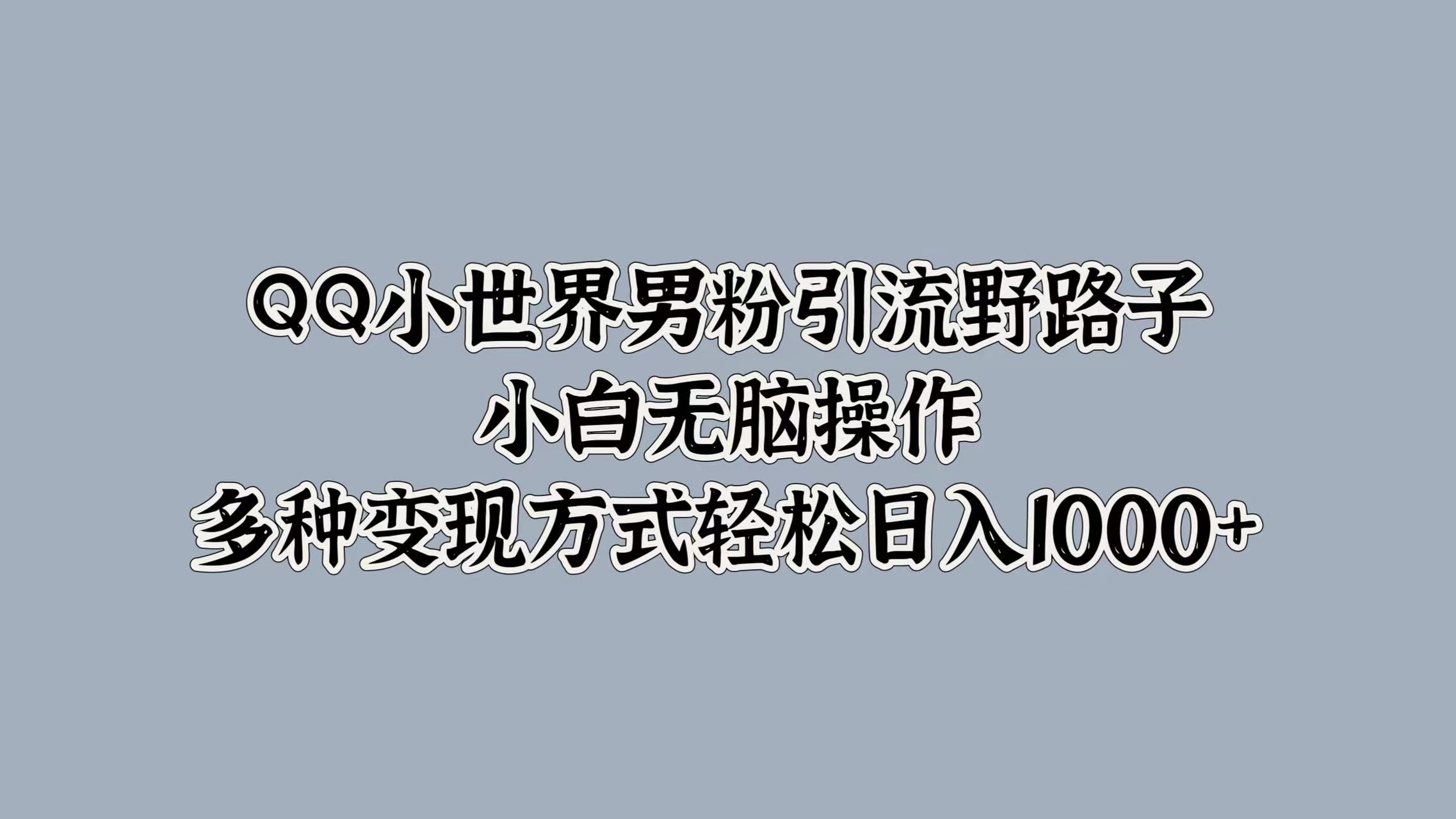 QQ小世界男粉引流野路子，小白无脑操作，多种变现方式轻松日入1000+-零点科技