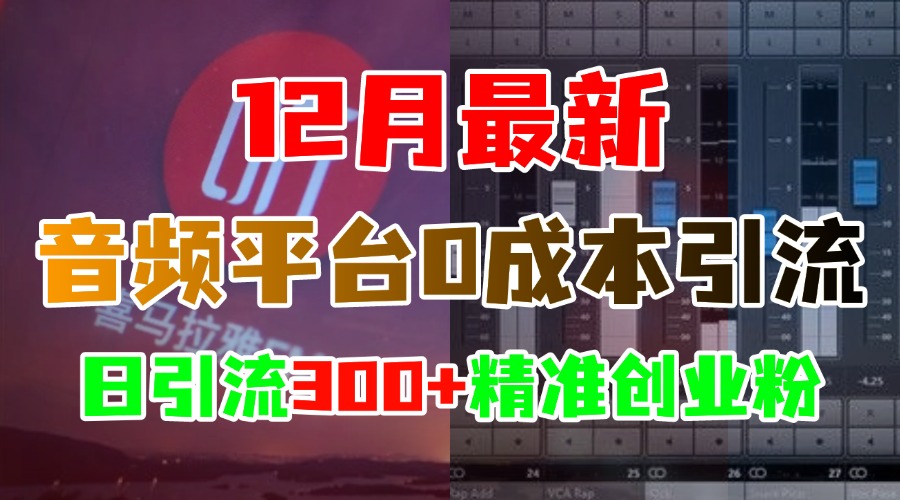 12月最新：音频平台0成本引流，日引300+精准创业粉-零点科技