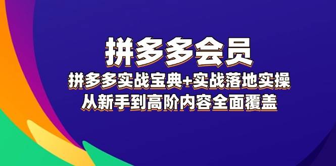 拼多多 会员，拼多多实战宝典+实战落地实操，从新手到高阶内容全面覆盖-零点科技